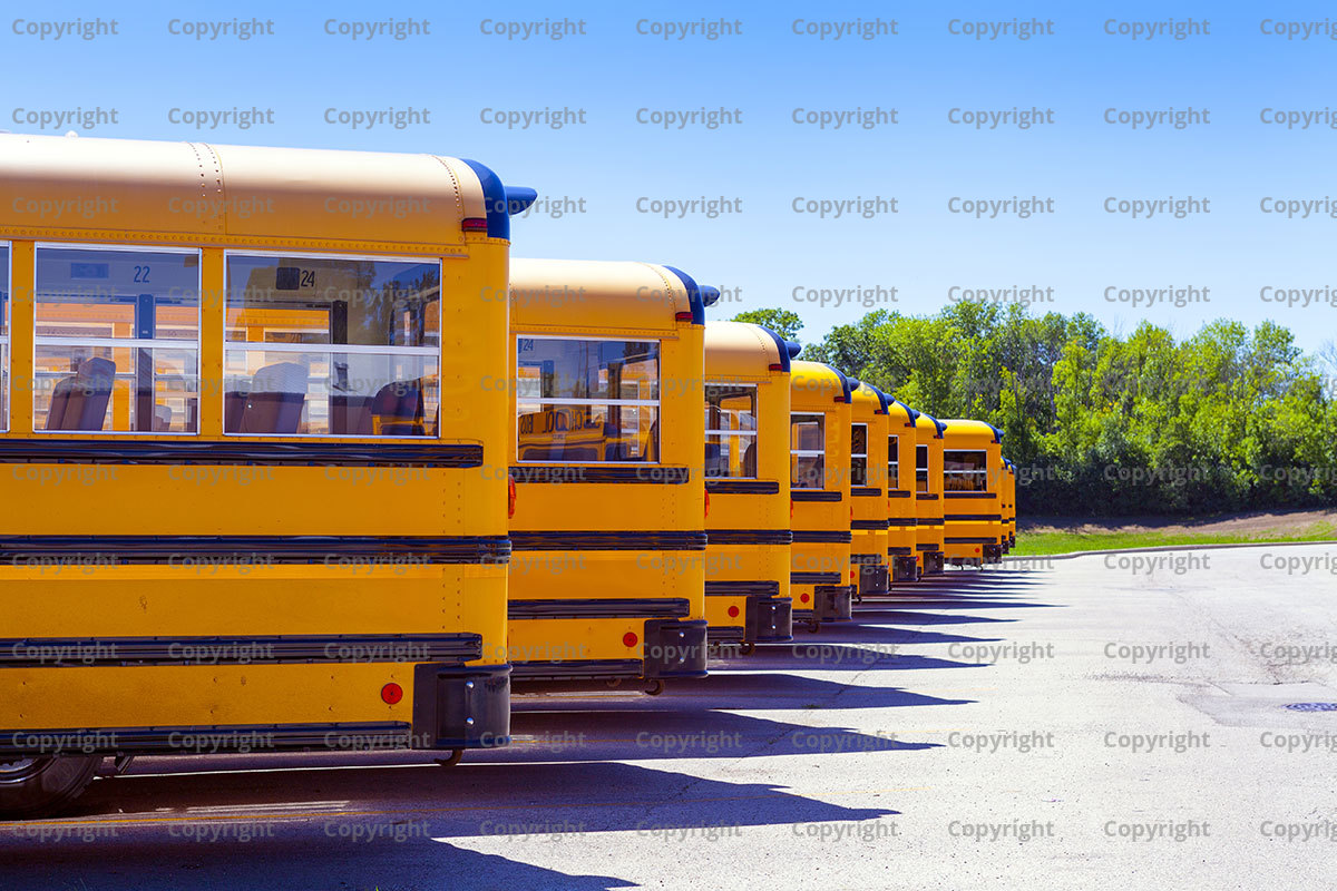 Why Are School Buses Yellow?
